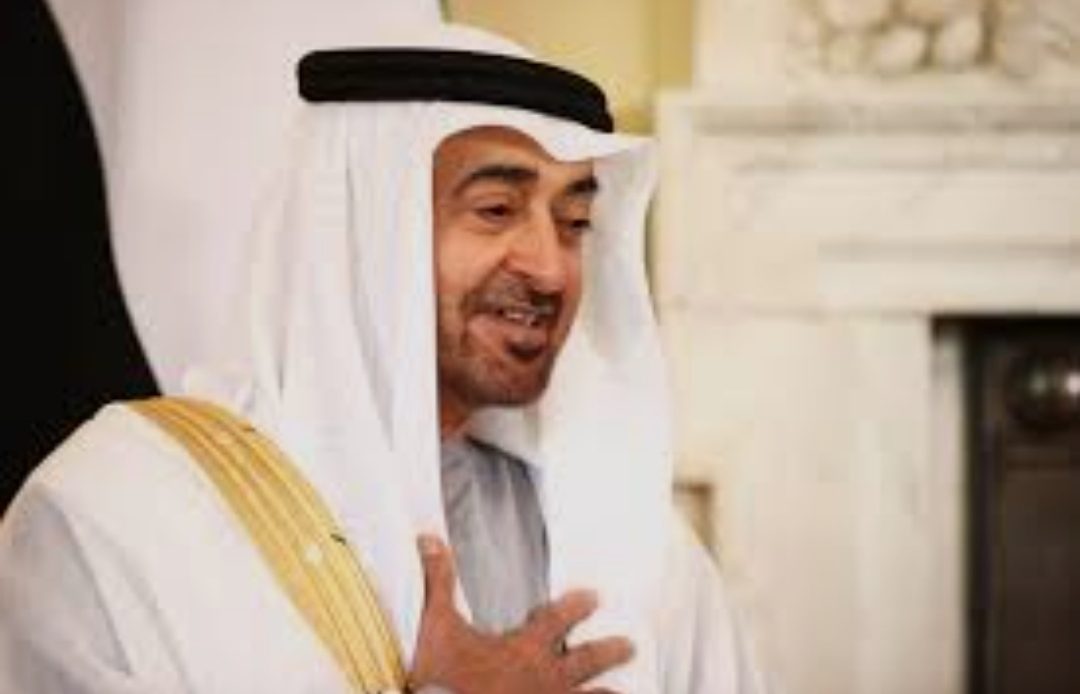 محمد بن زید النہیان متحدہ عرب امارات کے نئے صدر بن گئے